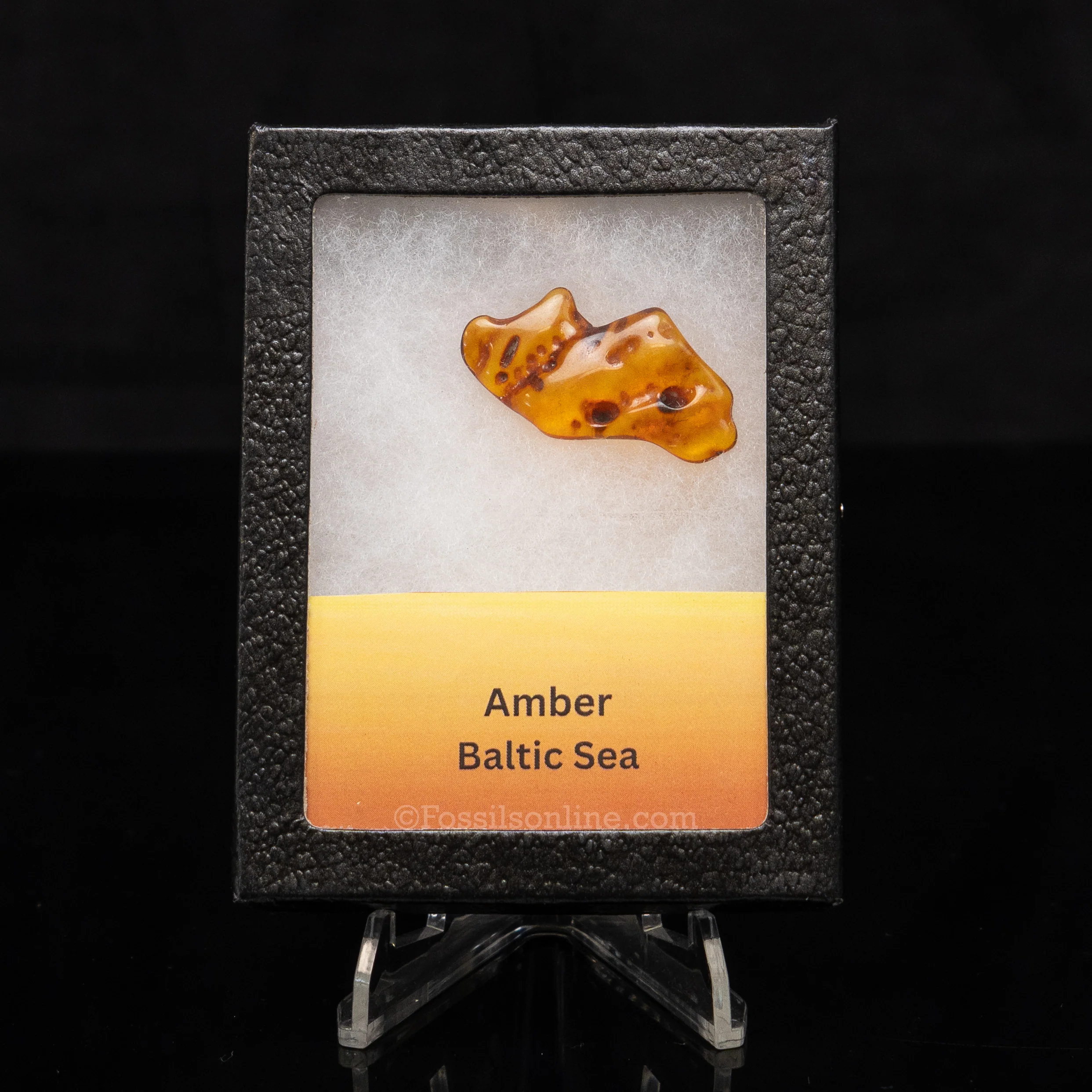 Baltic Amber