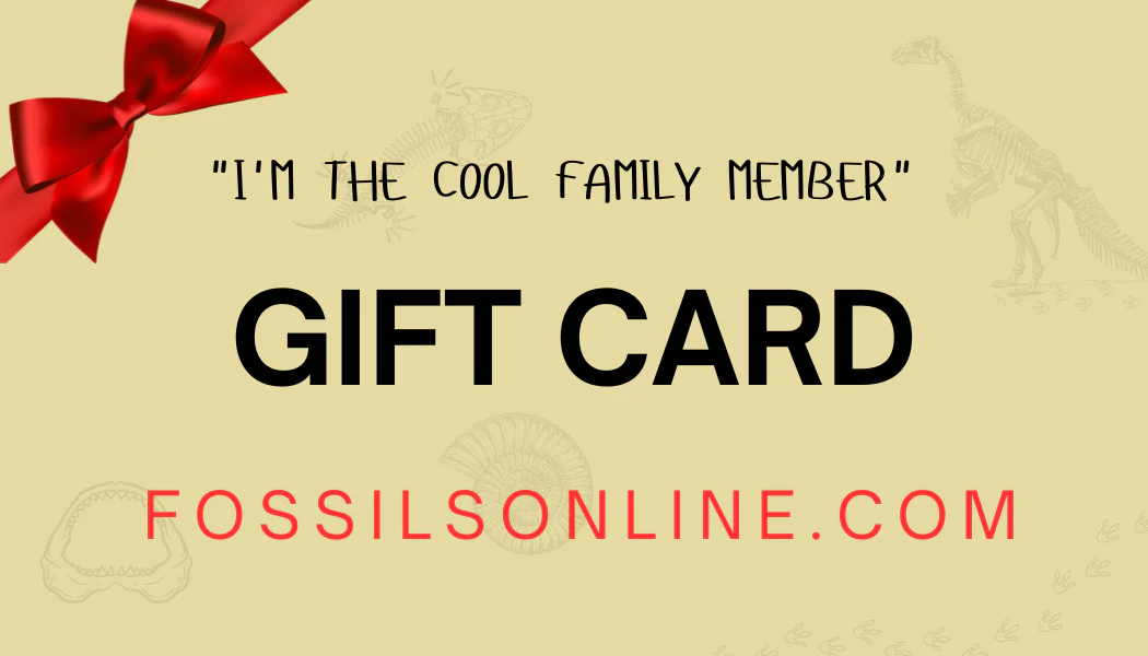 Fossils Online "I'm the cool family member" Gift Card - Image 2