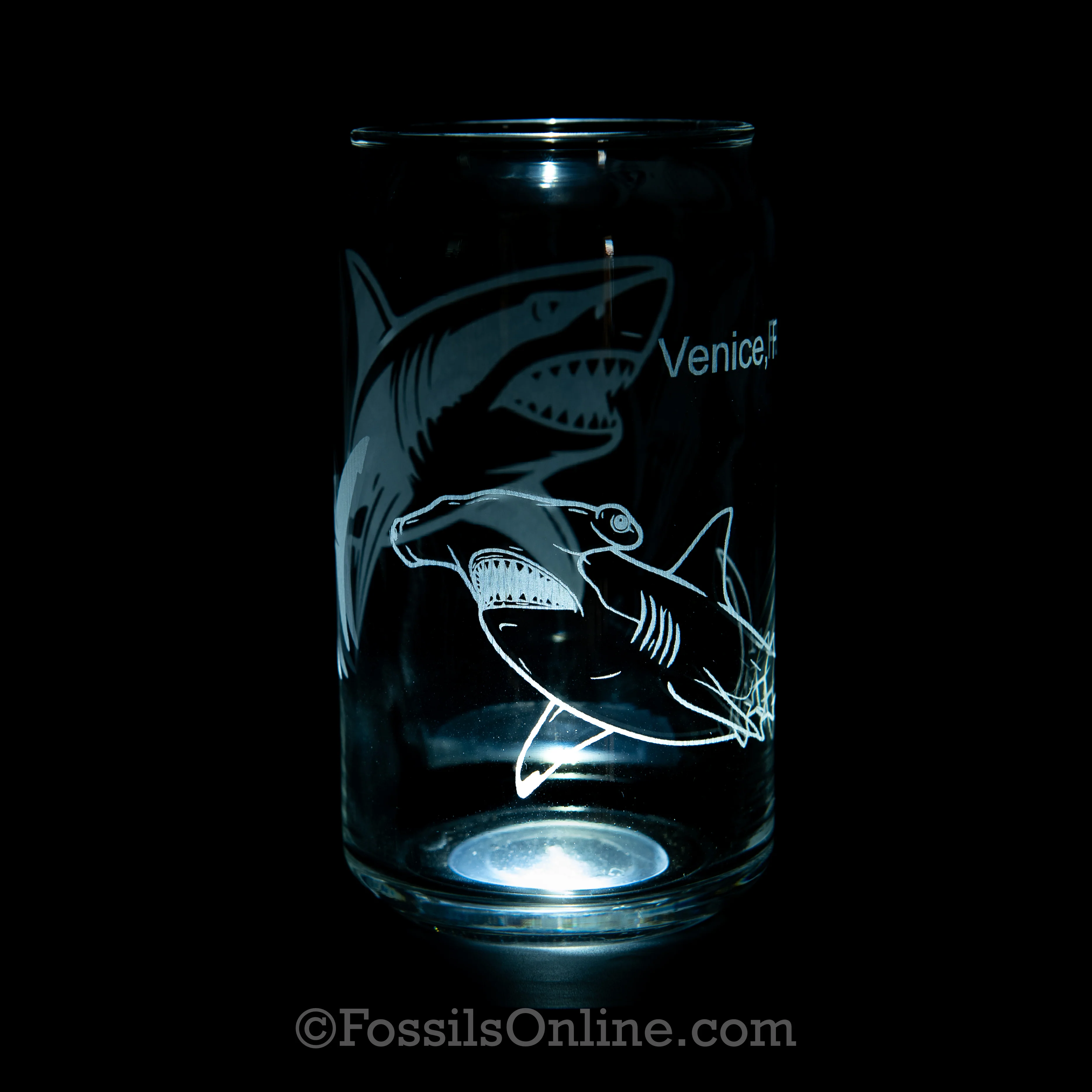 Venice, FL Shark Can Glass 16oz - Image 3